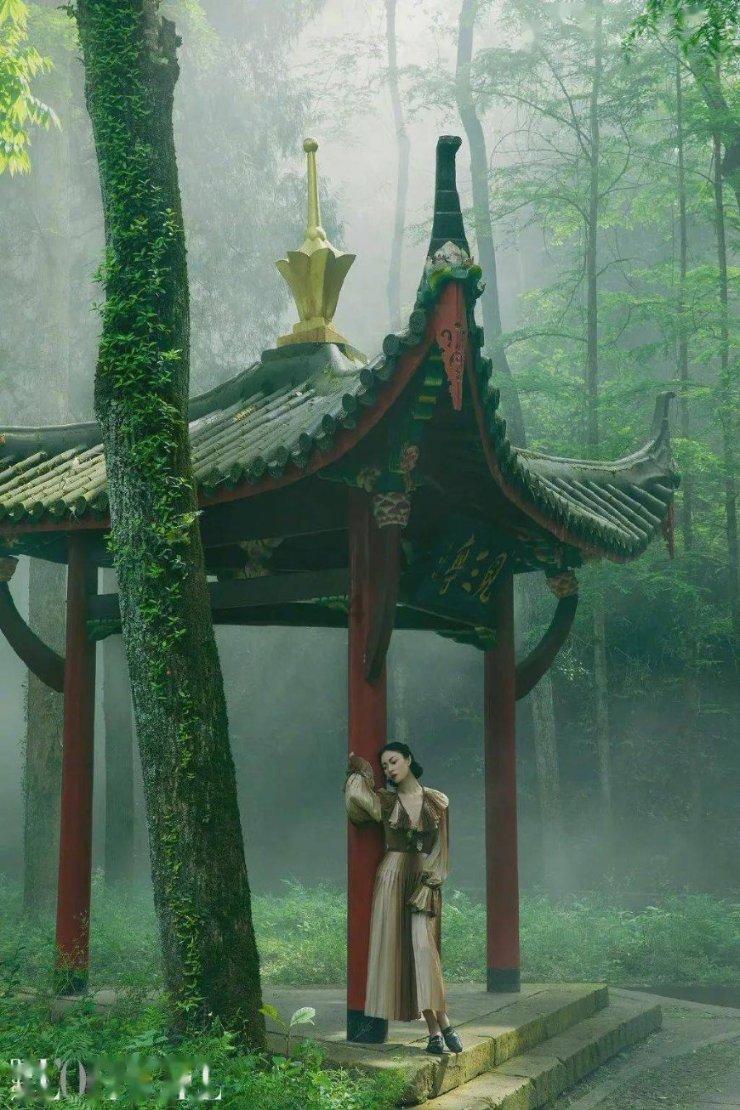 消失的轨迹